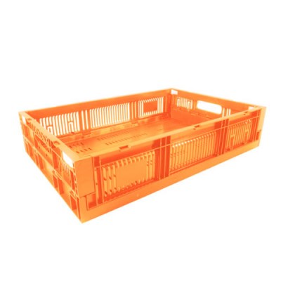 Caja CPR Colapsable 13