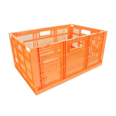 Caja CPR Colapsable 28