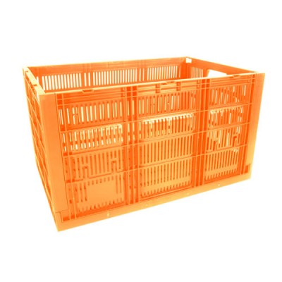 Caja CPR Colapsable 34