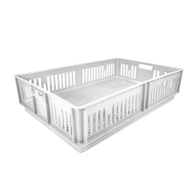 Caja para pollitos sin división calada