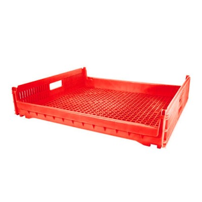 Rojo